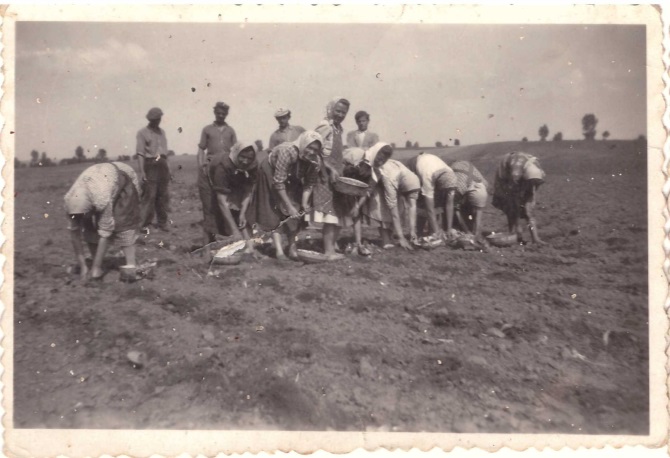 Popis: G:\k Nitre foto\Branč, práce v majeri 1943.jpg